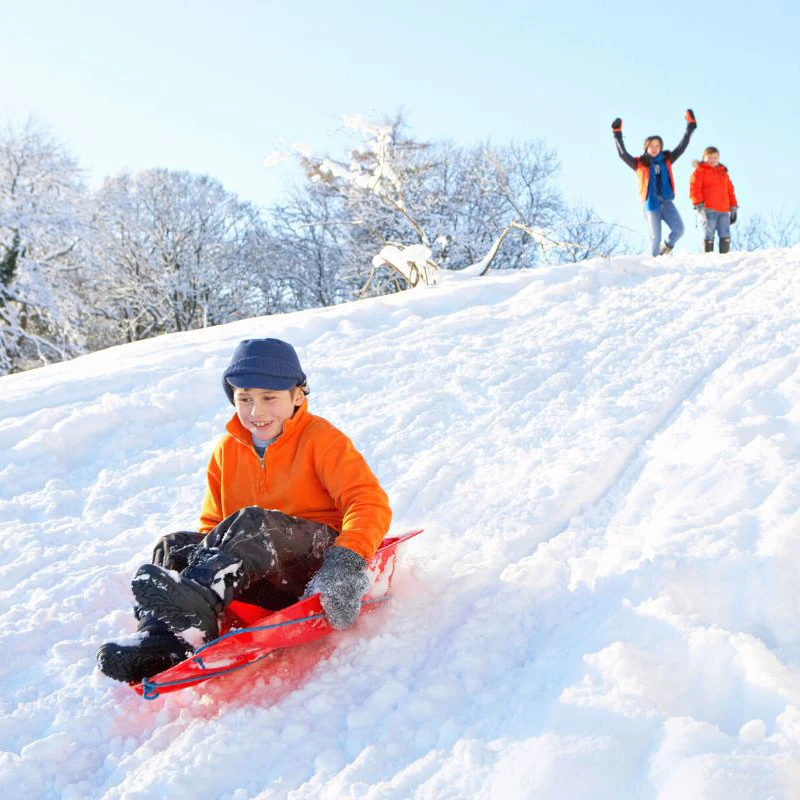 Plastic Snow Sled Toys for Adults and Kids, Sports, Winter