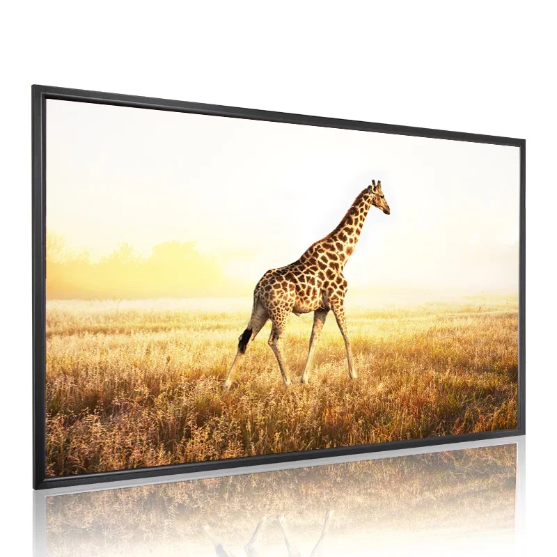 Рисунок 5 - Проектор 120 дюйма 4K с фиксированной рамкой