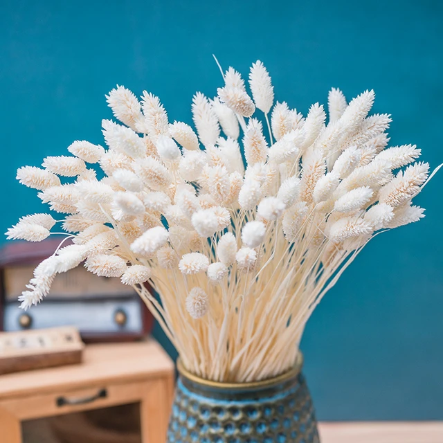 60pcs Rabbit Tail Grass Bouquet for Home Wedding Party dining table DIY Blue  dried flowers room decoration table decoration - AliExpress