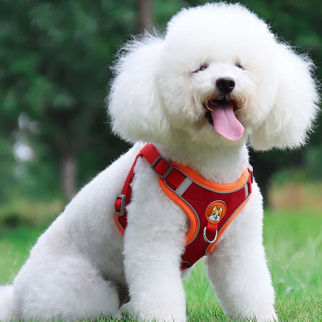 Adjustable Dog Harness & Leash Set – Reflective Breathable Flannel for Small Dogs 4