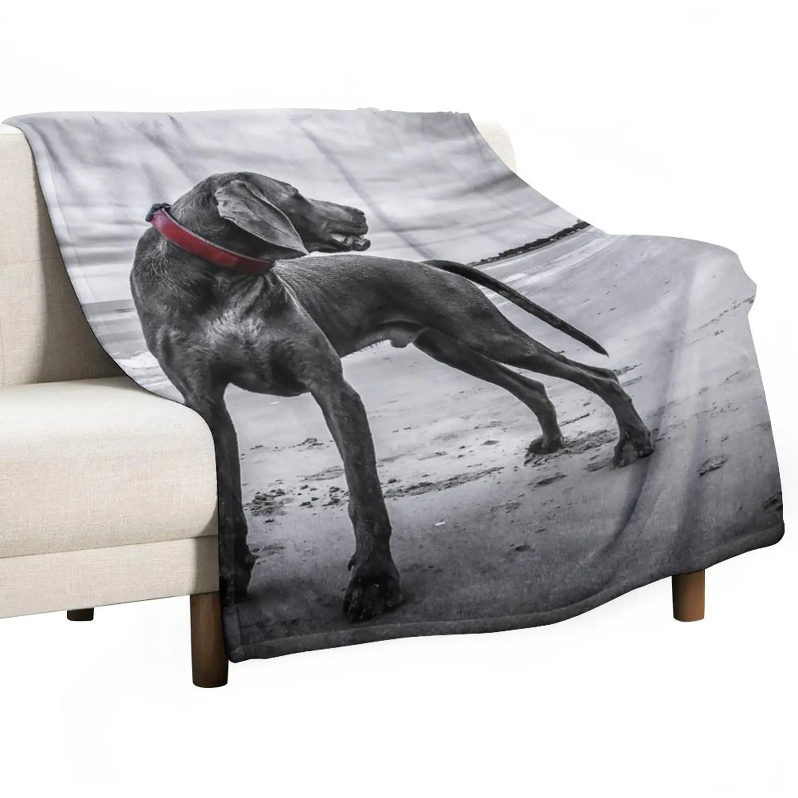 

Weimaraner Throw Blanket Sofa Blankets throw blanket for sofa blankets and blankets Custom Blanket