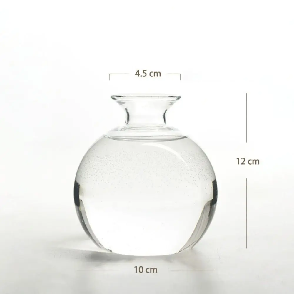 Avocado Hydroponic Vase Simple Transparent Seed Starter Vase Glass Plant Vase Aromatherapy Bottle Seed Growing Kit Gift