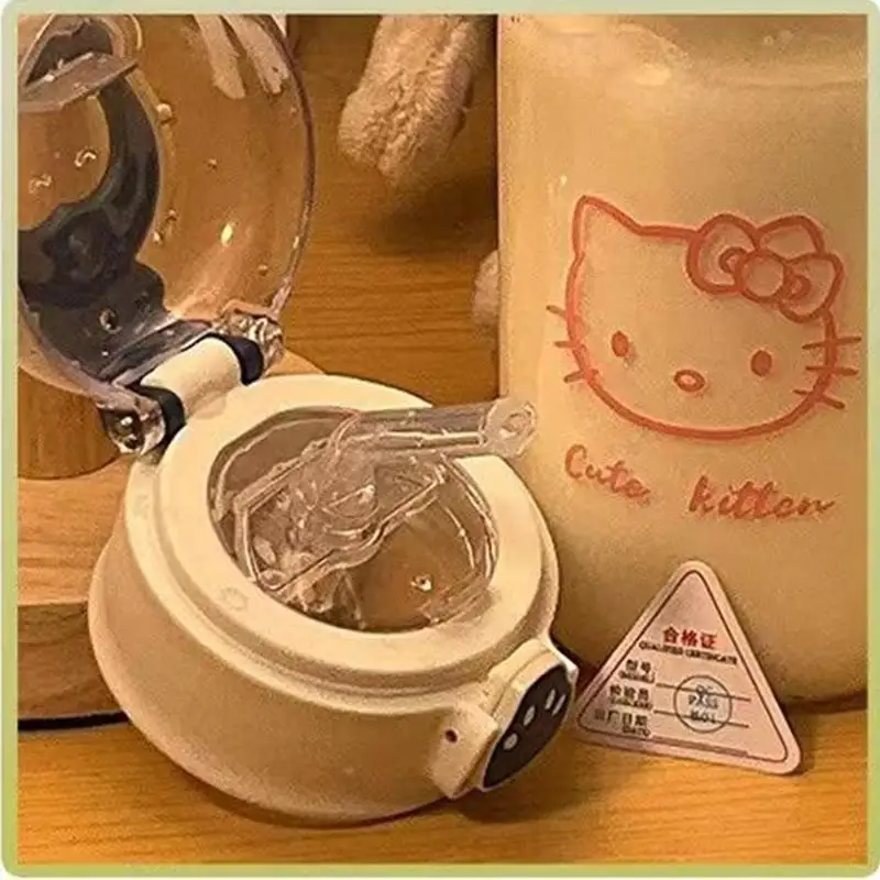 Sanrio Double Wall Straw Cup – GoodChoyice