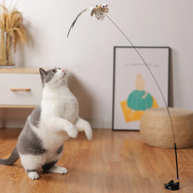Simulation Bird interactive Cat Toy Funny Feather Bird with Bell Cat Stick Toy for Kitten Playing Teaser Wand Toy Cat Supplies 3