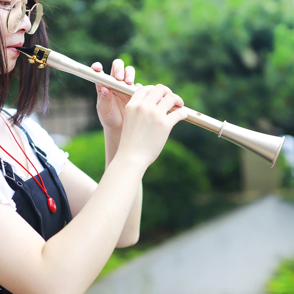 E Flat Saxophone Woodwind Instrument ABS Resin Portable Mini Pocket Saxophone Clarinet Musical Instrument for Beginners Practice