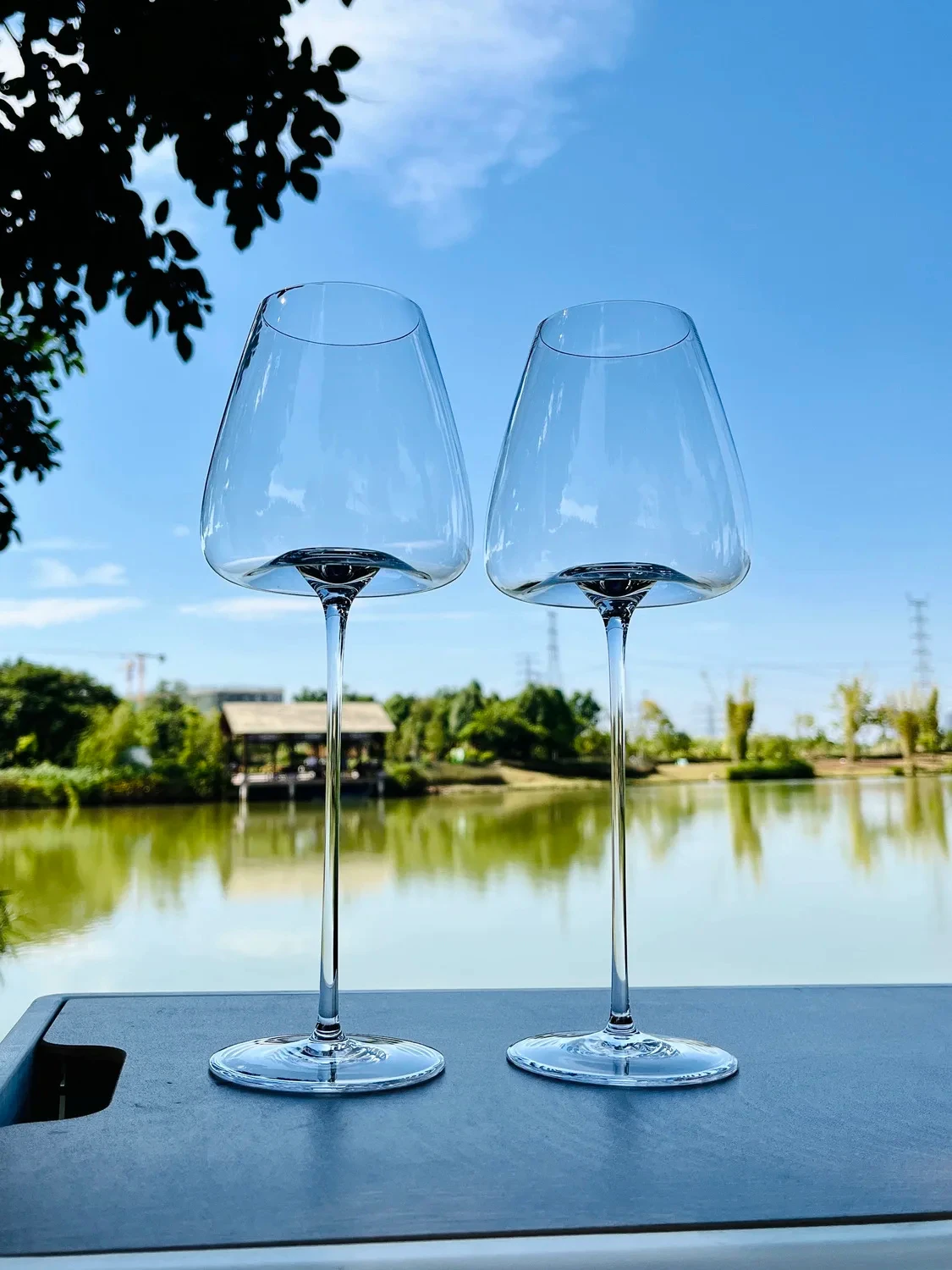

800ml Large Very Thin Red Wine Glass Cup High-end Bordeaux Burgundy Champagne Glass White Wine Glass Cup Camping Wine Glass