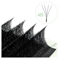 W-shaped 4D