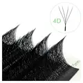 W-shaped 4D