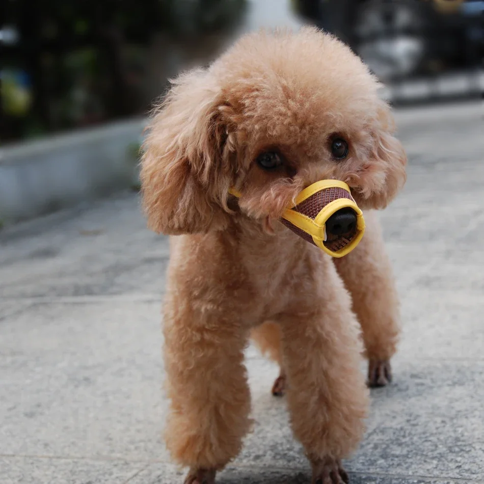 Dog Muzzle Puppy Small Medium Large dog Anti Barking Muzzle Pet Mouth Muzzles For Dogs Nylon Straps Dog Accessories dog muzzle