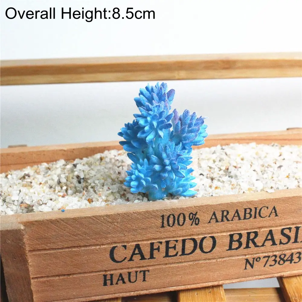 Vibrant Multicolor Flocking Succulent Plants