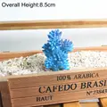 Blue Bo Xue Cao