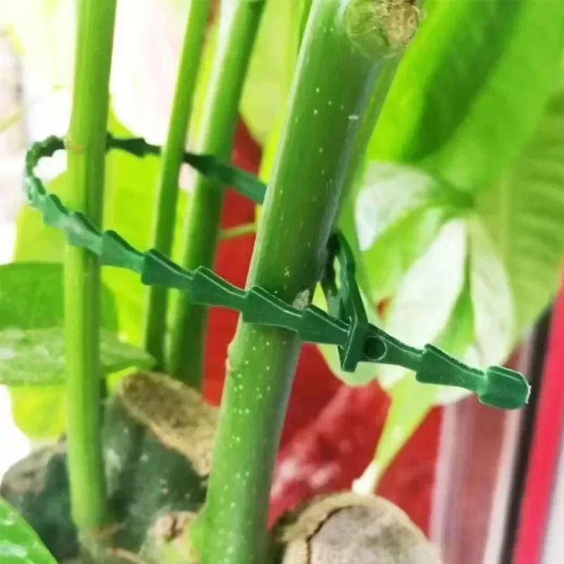 Adjustable Reusable Garden Cable Ties for Plant Support and Organization