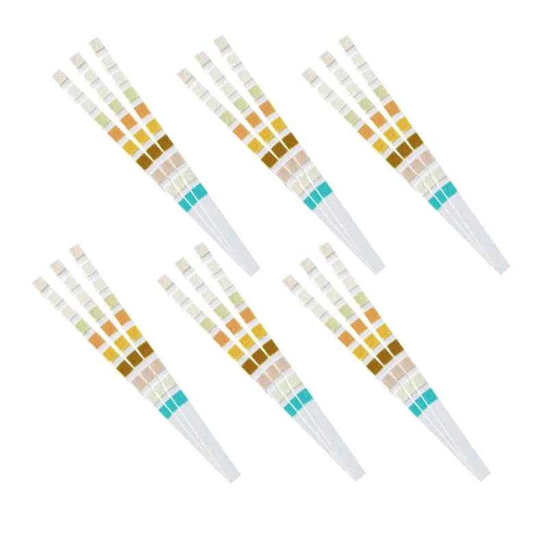 100 Strips Urine Test Strip 10 Parameters 4