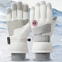 Winter Snowboard Ski Gloves Non-slip Touch Screen Waterproof Motorcycle Cycling Plush Warm Riding Gloves High-quality 1