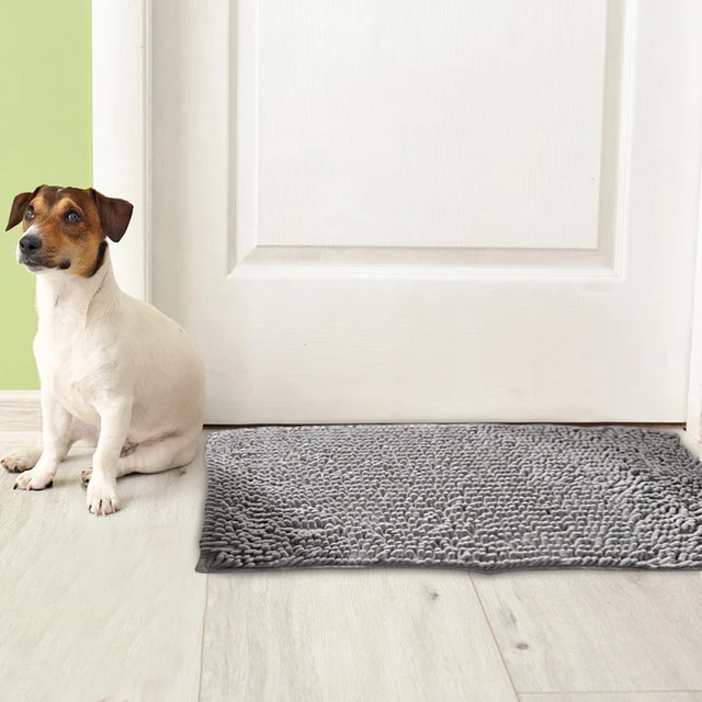 Get Free Dog Door Mat For Muddy Paws Absorbs Moisture And Dirt