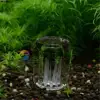 8 Hole Snail Trap Transparent Leech Vivarium Planarian Pest Catch Pen red bee shrimp Worm Bait Feeding Box Aquarium Cleaner Tool 4
