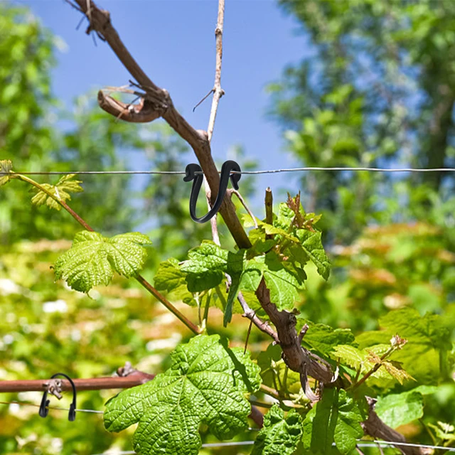 100 db Kerti Növények Szőlő Rögzített Klipek Kötött Csatok Kötőhorog A Kiwi Uborka Paradicsom Szárához Rögzítő Eszközök - Image 3