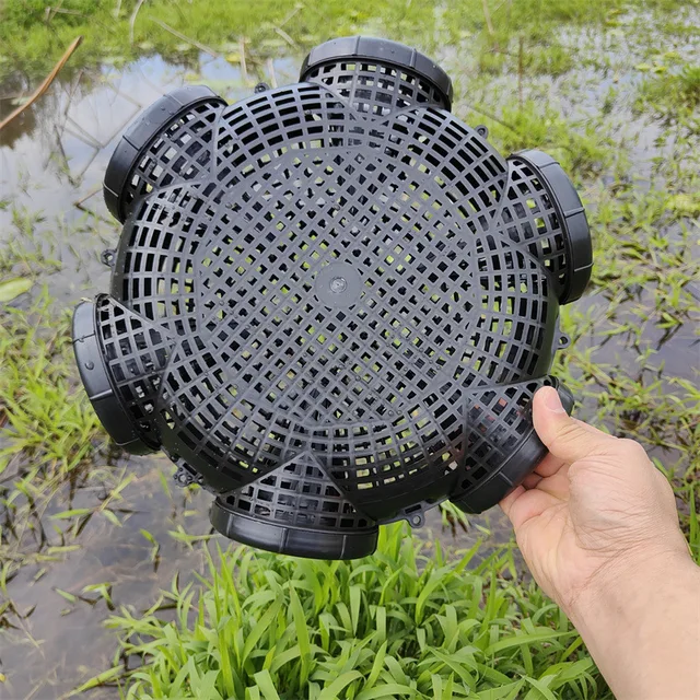 3/6/8 Holes Catch Loach Lobster Mixed Fish Crayfish Catcher Outdoor Fishing Net Cage Plastic Shrimp Trap Cage Easy to Install 5