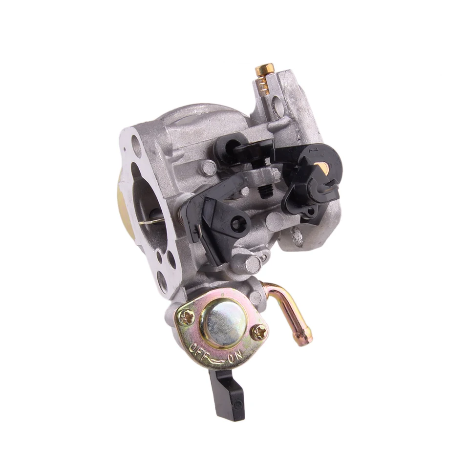 Einhell Tondeuse à Essence GC-PM 46/2 S HW - Jardin