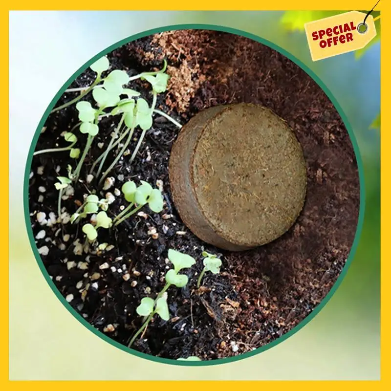 AB39-Premium Organic Potting Natural Soil Mix Food And Organic Coconut Coir Concentrate Seed Starting Mix