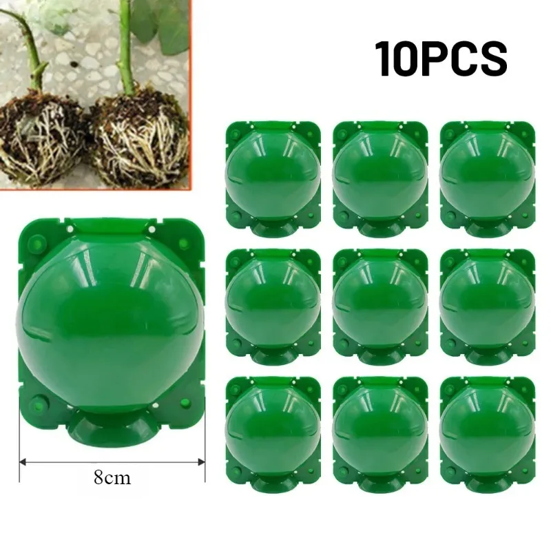 4Color 10Pcs Plant Rooting Equipment 8cm High Pressure Propagation Ball Garden Graft Box Plant Propagation Box