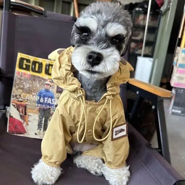 Windproof Coat for Pets, Puppies and Kittens, Schnauzer Bear, Teddy, Shiba Inu, Clothing