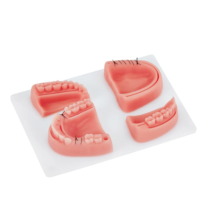Dental silicone simulated practice suture pad model with oral teeth wounds suture training pad