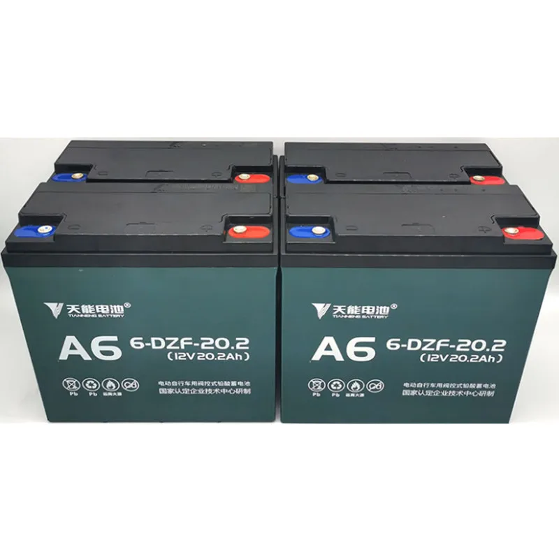 Batteria Al Piombo 12V 24Ah 6-DZM-20 Per Monopattino Elettrico E Go Kart