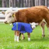 Thickened Calf Vest Warm Fleece Waterproof Ranch Supplies Goat Jacket Winter Horse Care Products Farm Animal Wear Coat 4