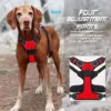 Dog Collars Harness Big Vests Leash Pet Shop Everything for Dogs Leather Puppy Accessories Medium Small Set 2