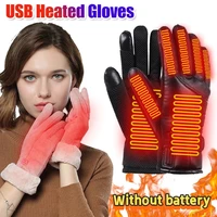 Electric Heating Gloves Men Women USB plug-in Winter Skiing Snowboarding Can Touch Screen Snow Gloves Without battery
