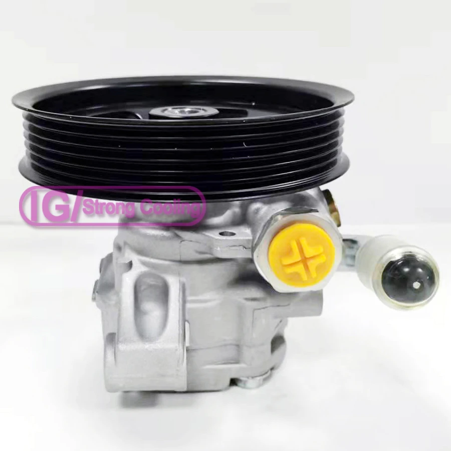 NEW Power Steering Pump For Buick Chevy Enclave GMC Pontiac Saturn Suzuki 15285501 20902363