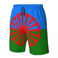 Romani People Rom Gypsy Flag Mens Swim Trunks Qucik Dry Board Beach Shorts Bathing Suit for Men Boardshorts Lightweight 2