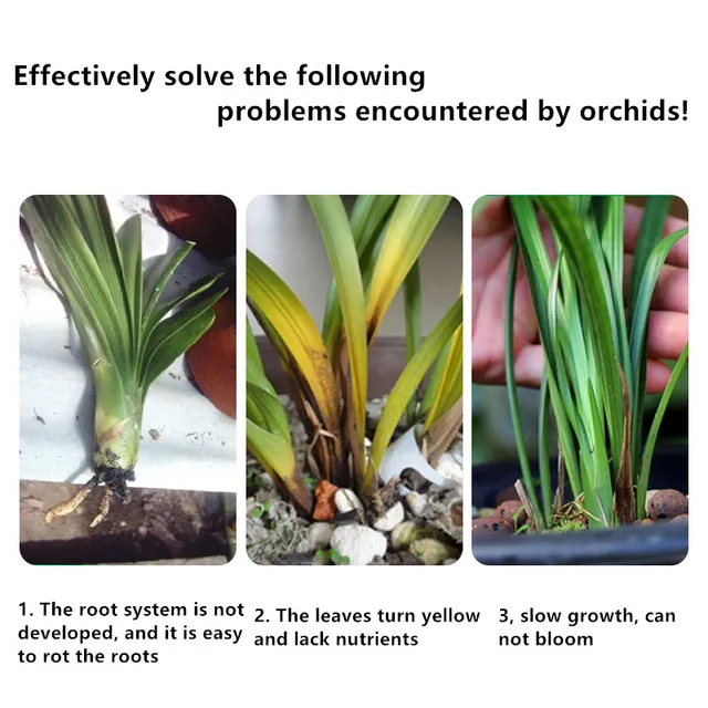 250 G Orchidea Speciális Műtrágya Hosszú Hatású Szemcsés Lassú Kiadású Importált Összetett Otthoni Kerthez - Image 4