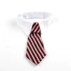 4945-ba4153.jpg Corbata formal para perro y gato, esmoquin accesorios para bodas, fiestas y regalos.
