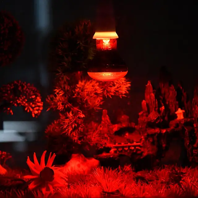 2 Lampade Riscaldanti A Infrarossi 100W SKIKHN Per Rettili - Attacco E27 Per Tartarughe, Lucertole E Serpenti