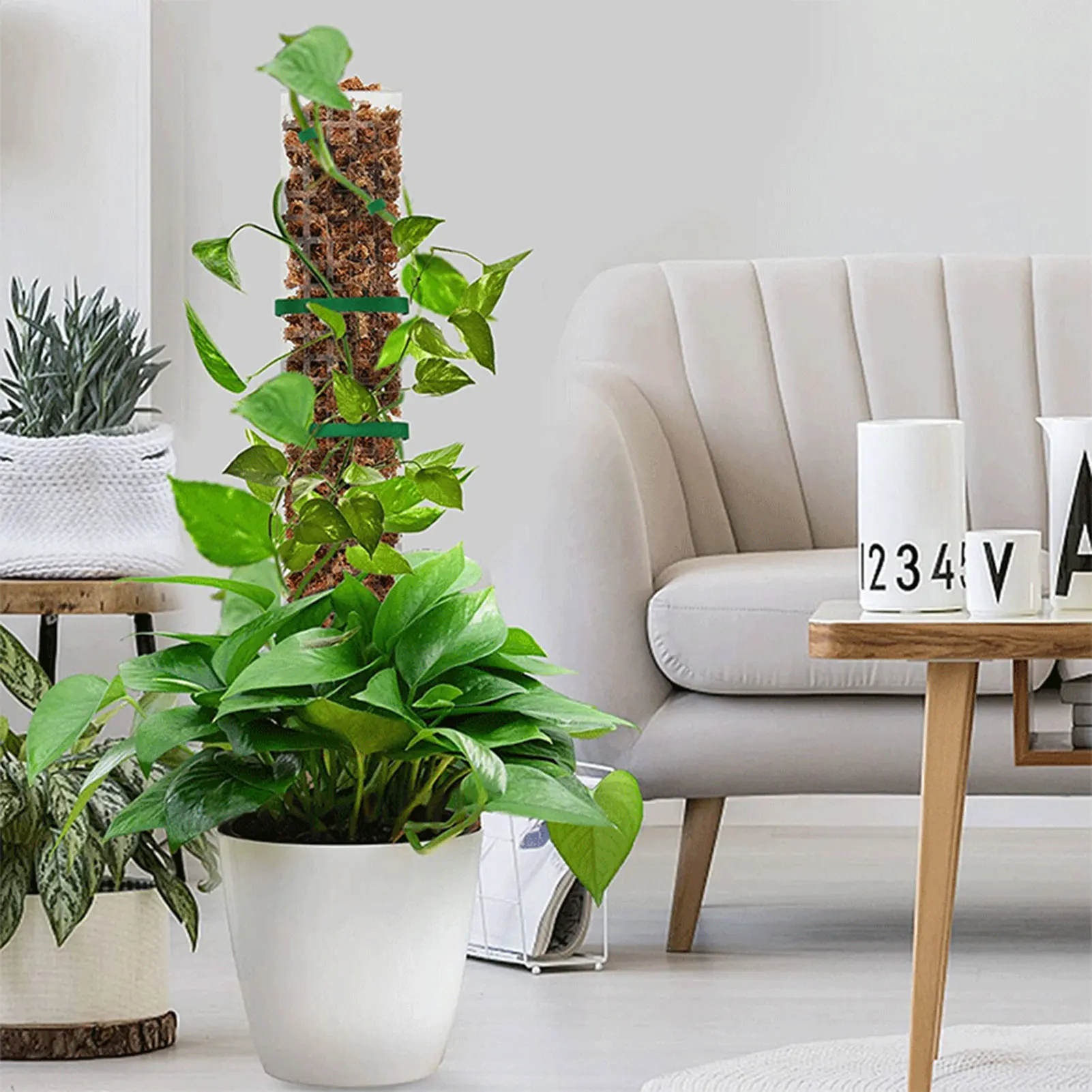 

2/4pcs Plastic Plant Supporting Stick Moss Pole Potted Supporting Stick Garden Supplies For Flower-vine Plants Climbing Frame
