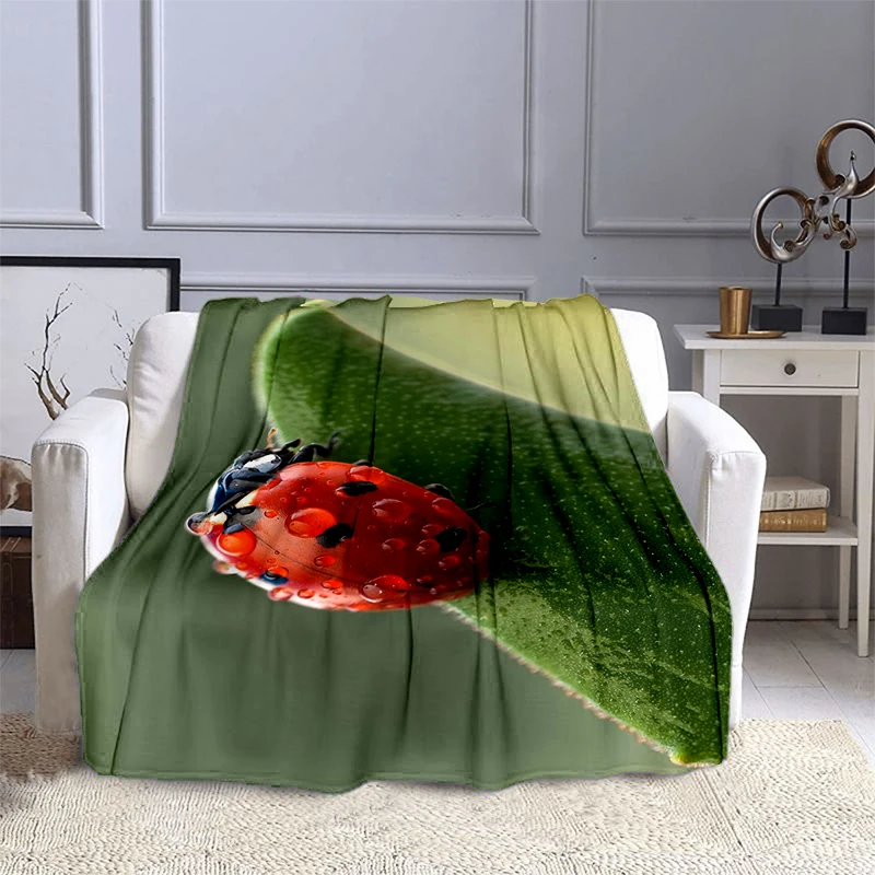 ��� ���� ���� ���, �ö��� ���, �ε巴�� ������, ����, ����, ���� ����Ƽ