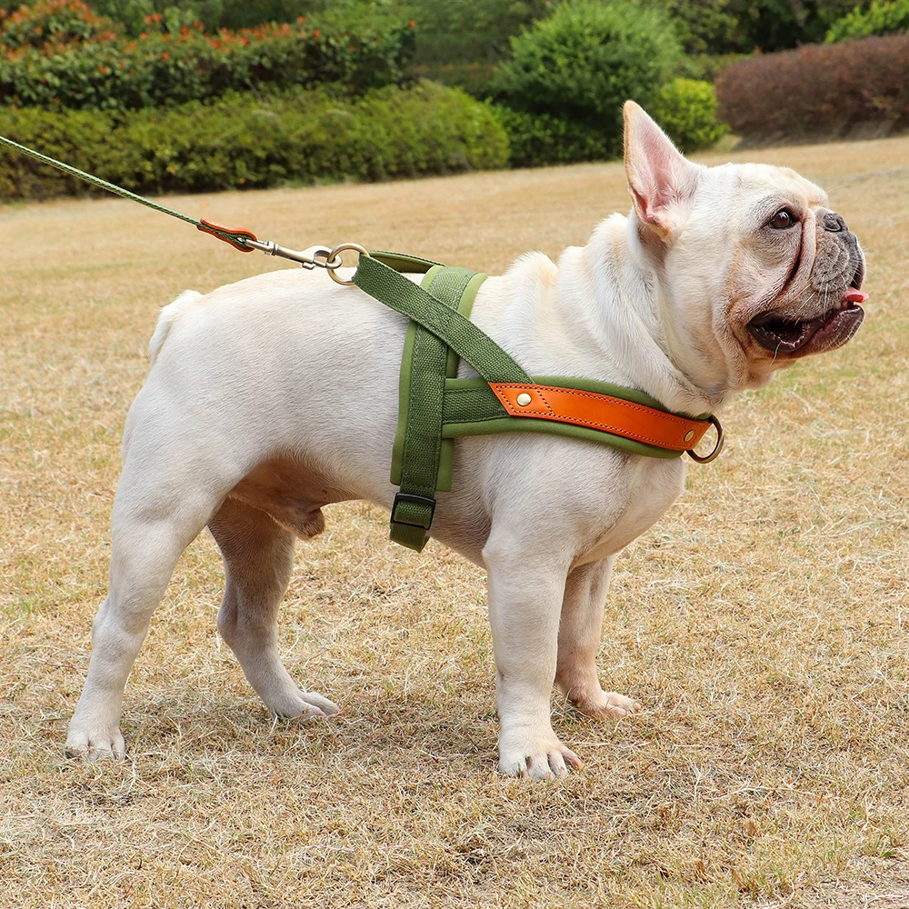 No Pull Padded Nylon and PU Leather Pet Dog Harness - PeticaDeals