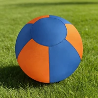 Herding Ball for Dogs with Protective Cover & Pump Interactive Dog Toy To Keep Them Busy for Shepherds Border Collies 4