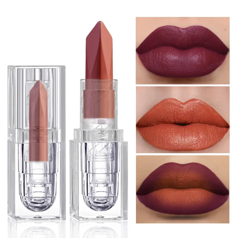 2-in-1 2 Colors Matte Waterproof Velvet Nude Lipstick Sexy Red Brown Pigments Non-Stick Cup Shinny Black Polarized Lipgloss