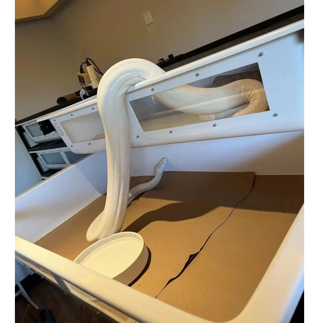 プラスチックスネークreptile iningbox、スネークスキニングタブ用