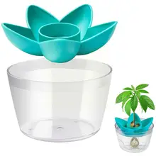 

Planting Bowl Plant Indoor Kitchen Garden Gift Practical Tree Gifts Growing Avocado Kit Gardening Festivel Avocado A6Y0