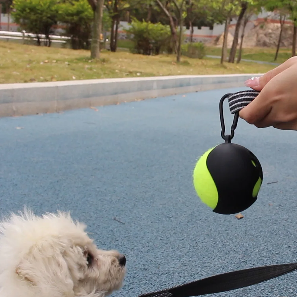 Acheter Support de balle de Tennis avec crochet, léger