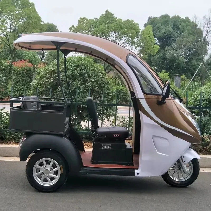 Three Wheel Electric Mini Scooter Tricycle with Roof for Adult Pink Max Black Green Silver Body Motor Acid Power Battery 2
