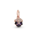 Image 61
