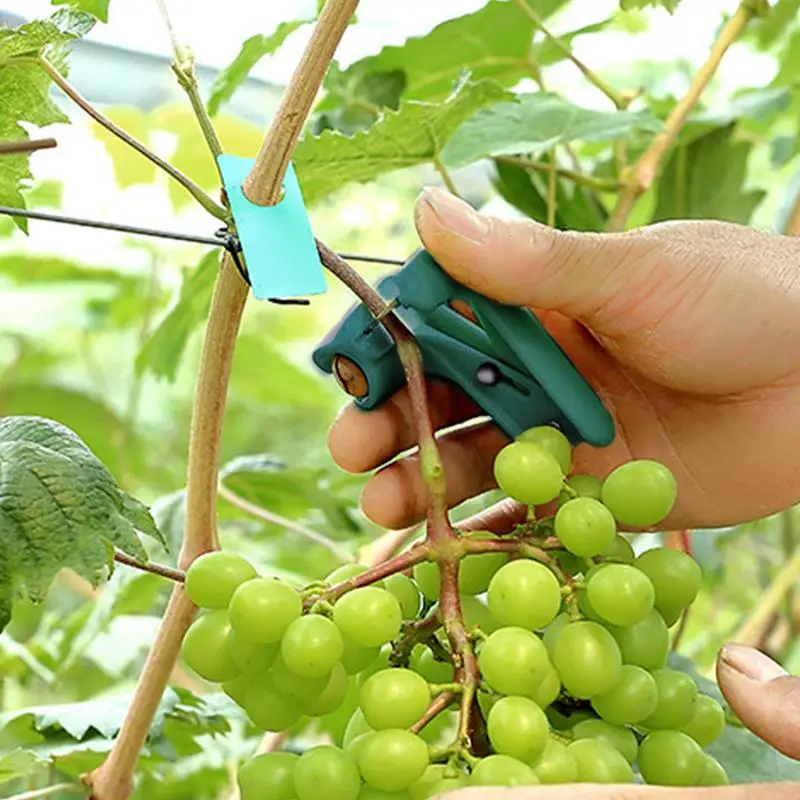 Thumb Pruner Thumb Knives Harvesting Tool Fruit Picking Nail Gardening Separator Fitting Finger Knives for farm greenhouse