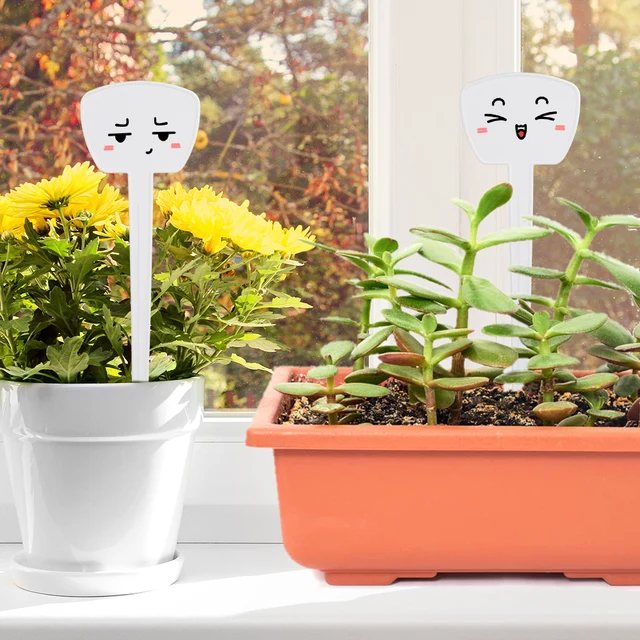 6-200Pcs 19,5X4,9 Cm Vastag Műanyag Növényi Címkék Vízálló Óvodai Póló Kerti Címke Kertészeti Fa Shurb Virágmarkerek Válogató Jel - Image 4