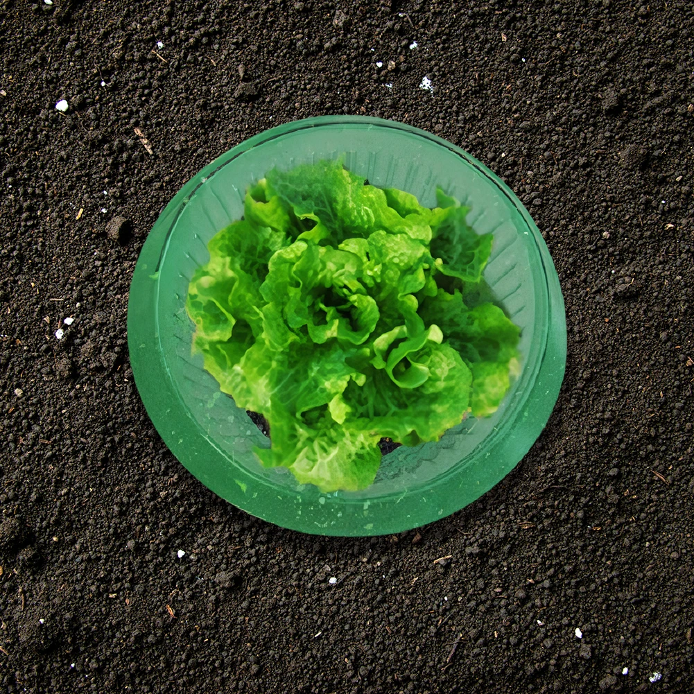 5-30PCS Snail Collars Slug Plant Protection Collars Reusable Slug Plant Protection Collars Agricultural Guard Garden Protects