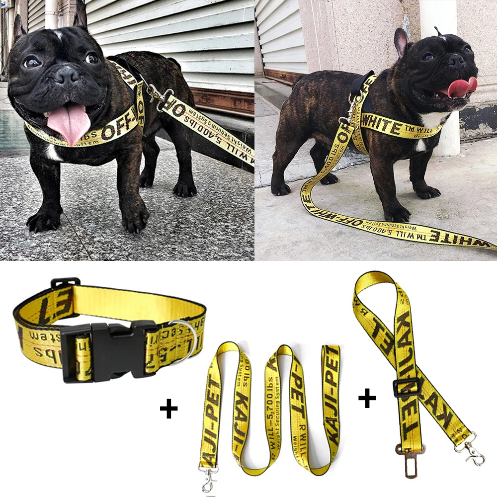 Mode Halsband Riem Set Gouden Ketting Nylon Huisdieren Halsband Leash Lange Touw Beletterd Kraag